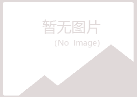 密山忆伤会计有限公司